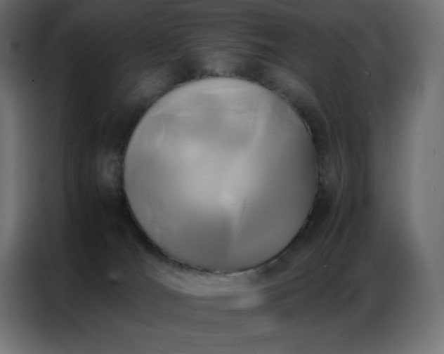X0000086920036200704161412