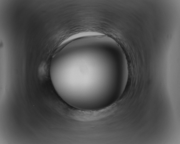 X0000086920037200704161412