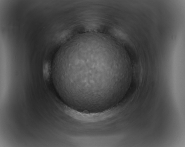 X0000086920038200704161412