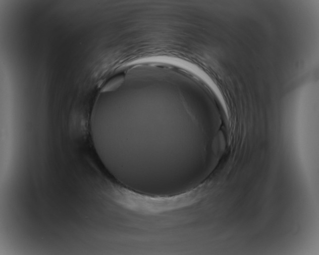 X0000086920039200704161412