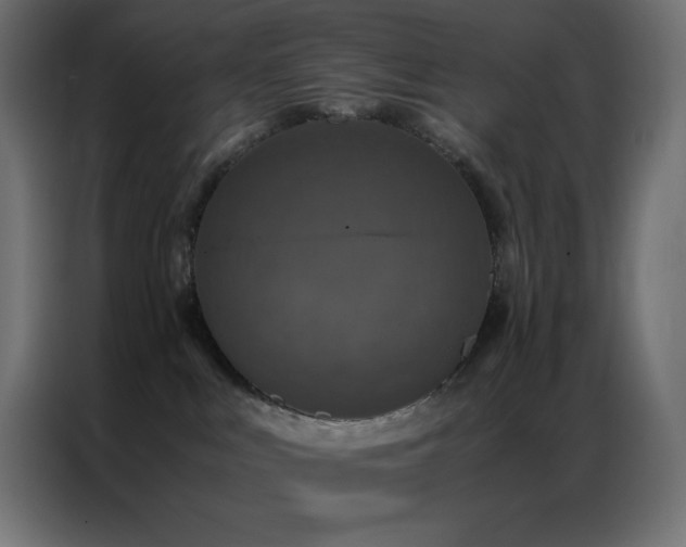 X0000086920043200704161412