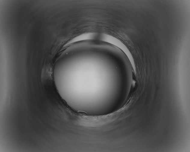 X0000086920045200704161412