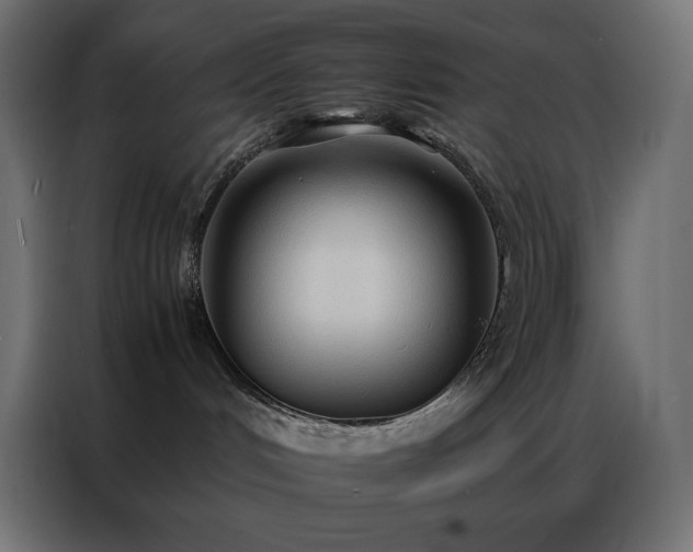 X0000086920048200704161412