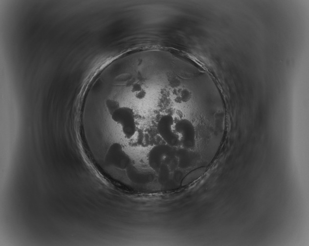 X0000086920049200704161411