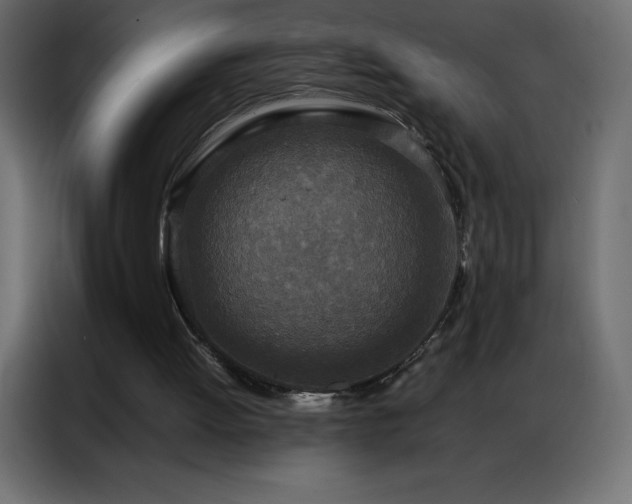 X0000086920052200704161411