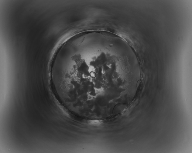 X0000086920053200704161411