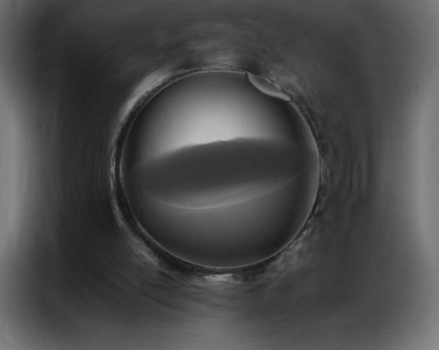 X0000086920054200704161411
