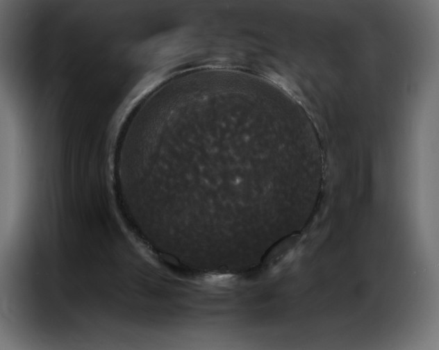X0000086920055200704161411