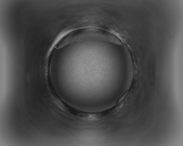 X0000086920056200704161411