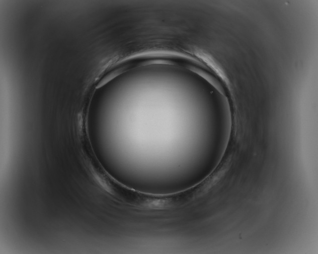 X0000086920057200704161411