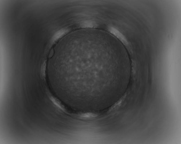 X0000086920058200704161411