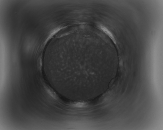 X0000086920059200704161411
