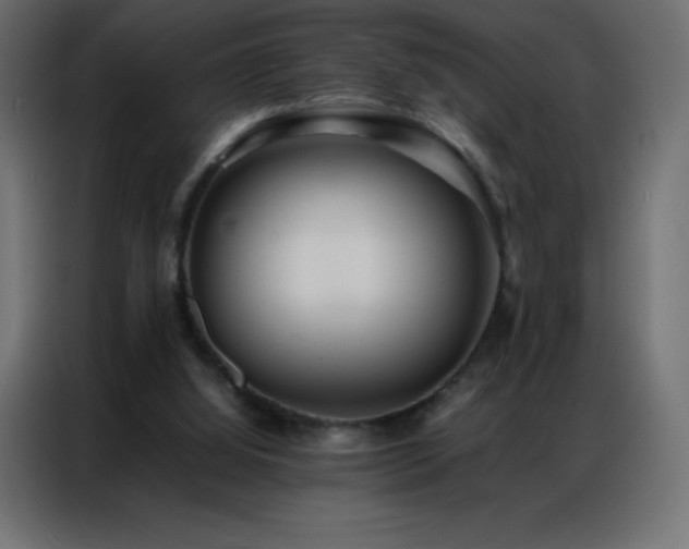 X0000086920060200704161411