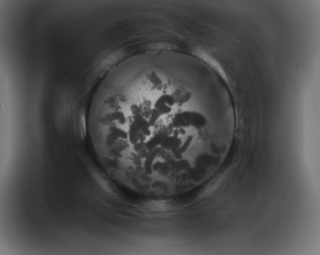 X0000086920061200704161411
