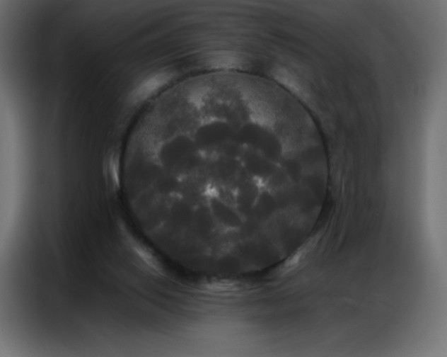 X0000086920062200704161411