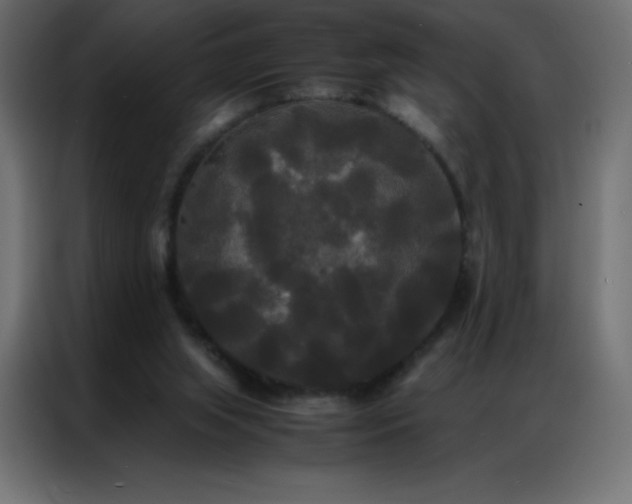 X0000086920063200704161411