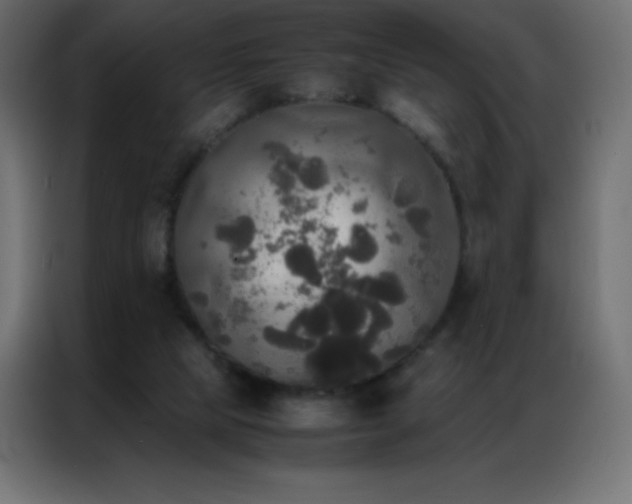 X0000086920065200704161411