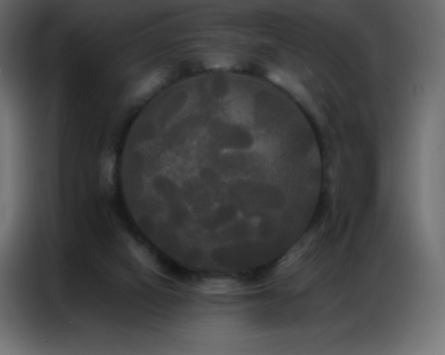X0000086920066200704161411
