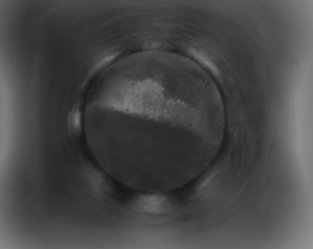 X0000086920067200704161412