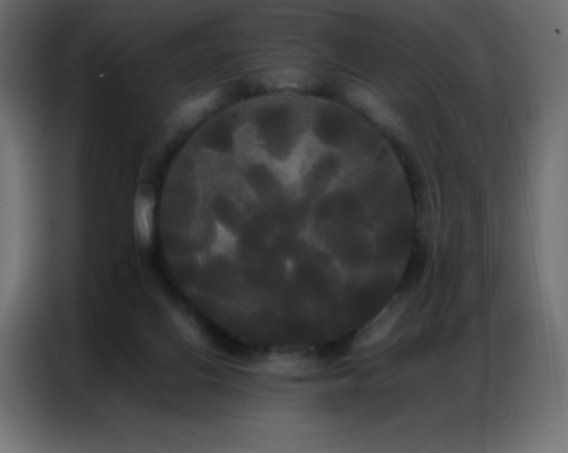 X0000086920070200704161412