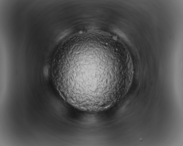 X0000086920071200704161412