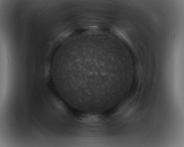 X0000086920073200704161412