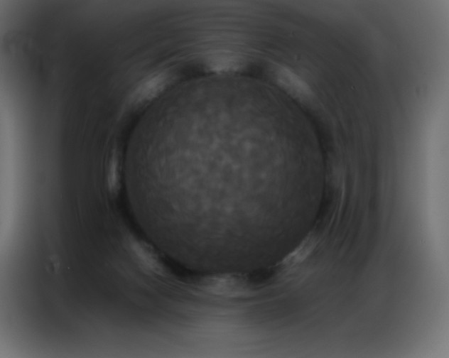 X0000086920074200704161412