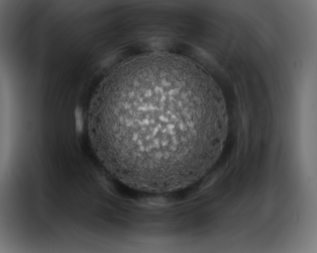 X0000086920075200704161412