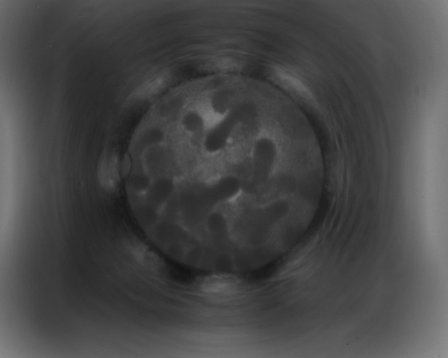 X0000086920077200704161412