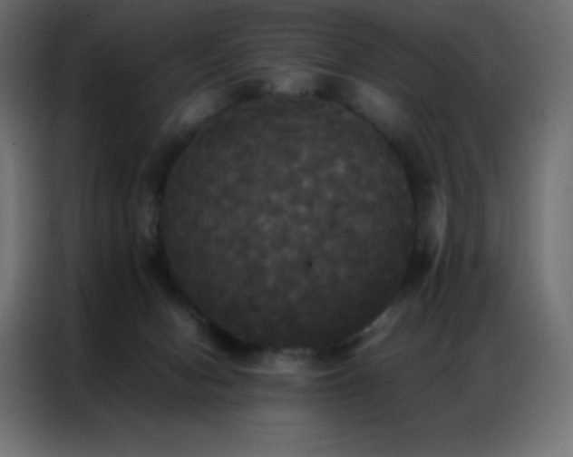 X0000086920078200704161412