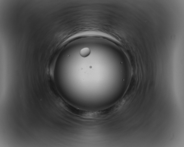 X0000086920084200704161412