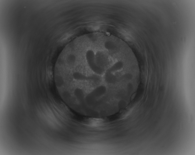 X0000086920085200704161412