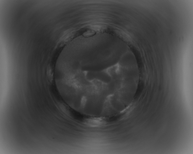 X0000086920086200704161412