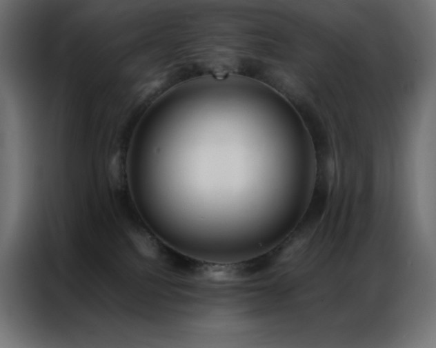 X0000086920088200704161412