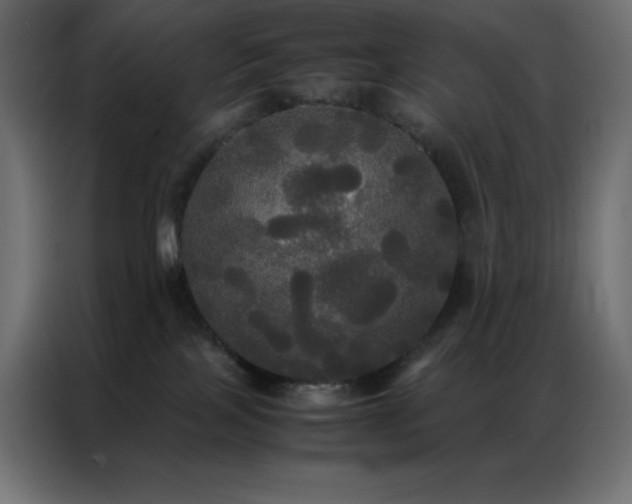 X0000086920089200704161412