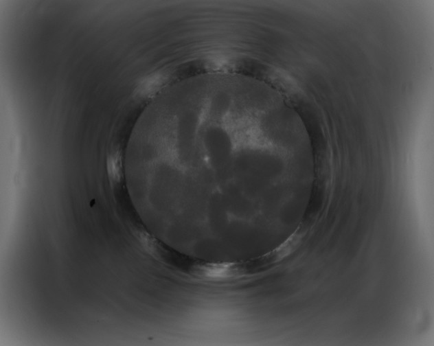 X0000086920090200704161412