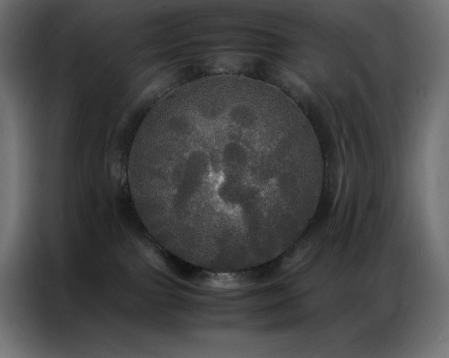 X0000086920091200704161412