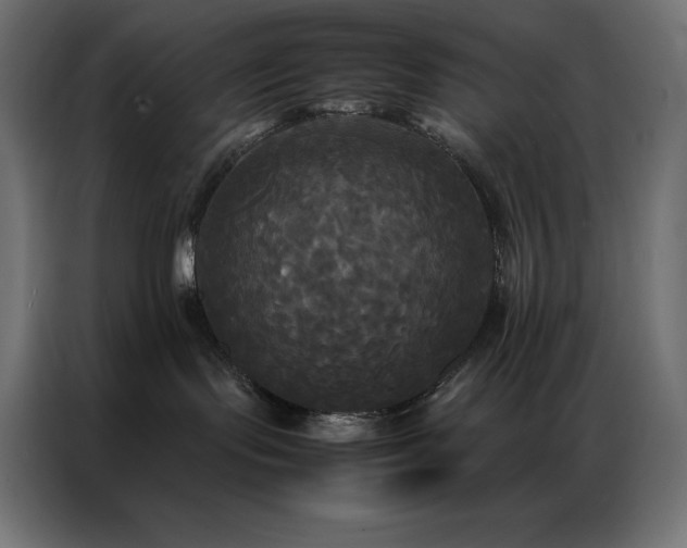 X0000086920095200704161412