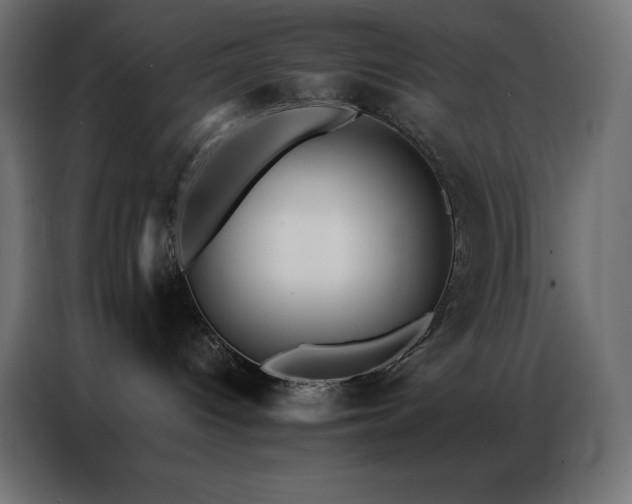 X0000086920096200704161412