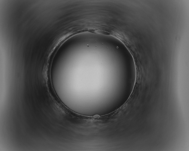 X0000086920098200704161411