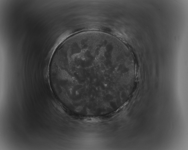 X0000086920099200704161411