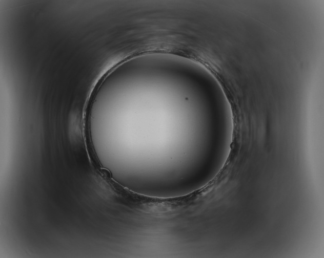 X0000086920100200704161411