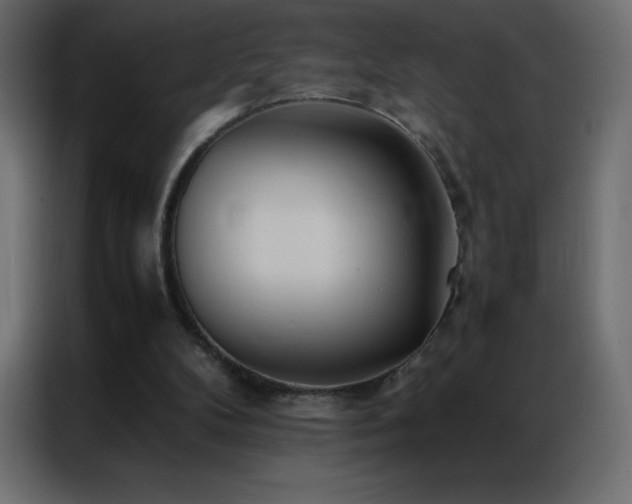 X0000086920104200704161411
