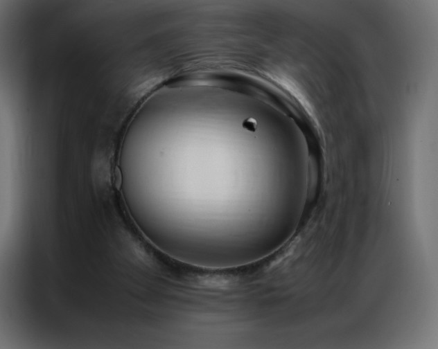 X0000086920105200704161411