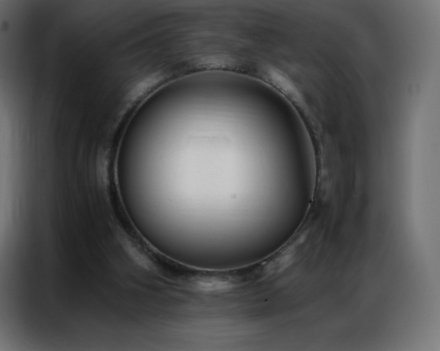 X0000086920106200704161411