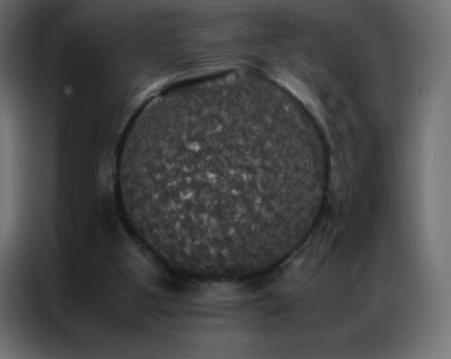 X0000086920107200704161411