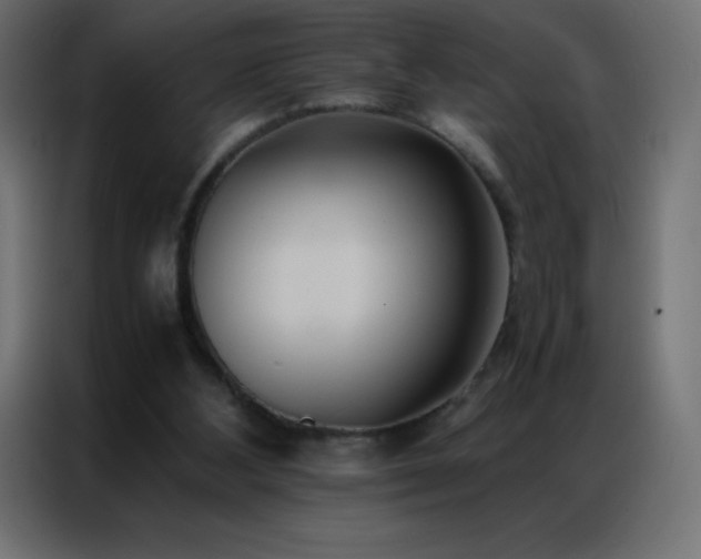 X0000086920108200704161411