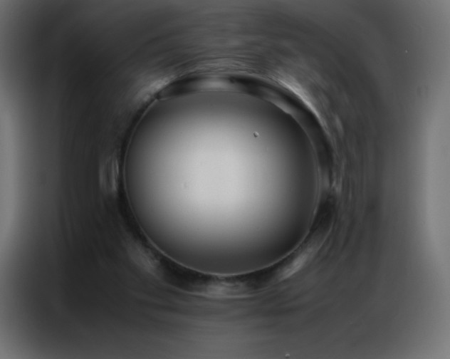 X0000086920109200704161411