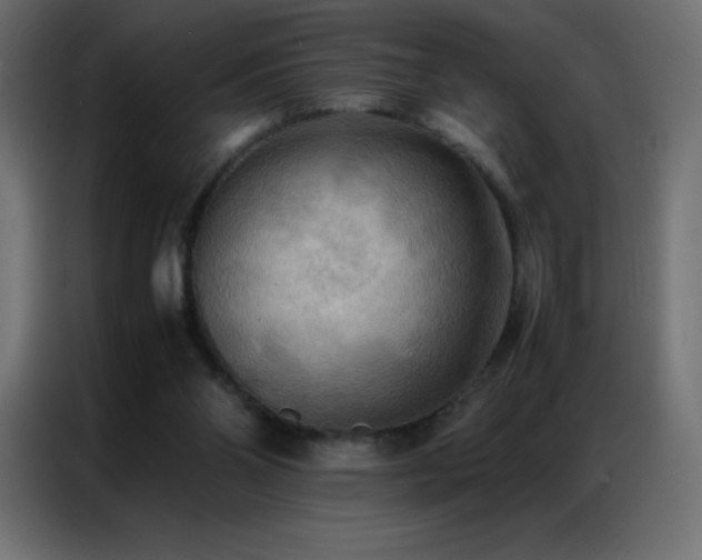 X0000086920110200704161411