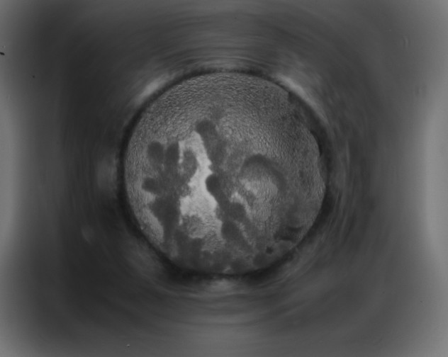 X0000086920111200704161411